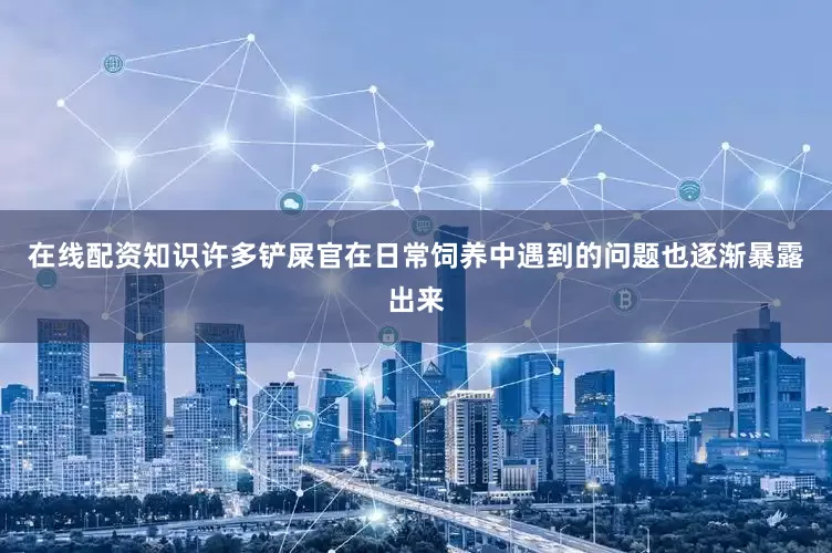 在线配资知识许多铲屎官在日常饲养中遇到的问题也逐渐暴露出来