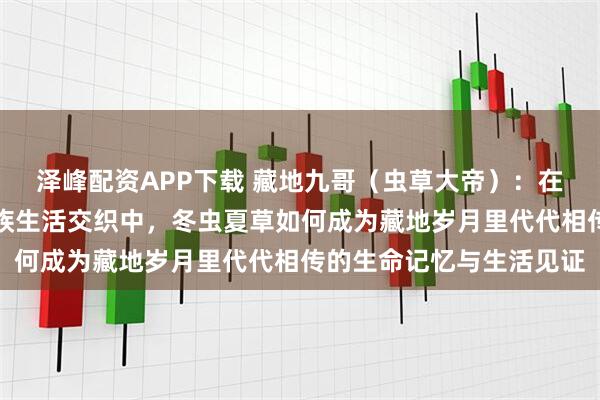 泽峰配资APP下载 藏地九哥（虫草大帝）：在青藏高原四季轮回与家族生活交织中，冬虫夏草如何成为藏地岁月里代代相传的生命记忆与生活见证