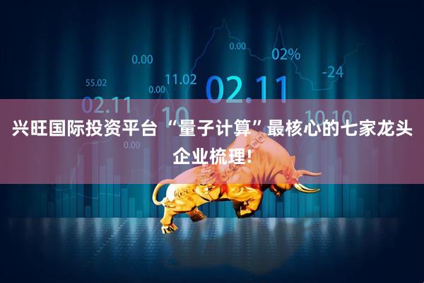 兴旺国际投资平台 “量子计算”最核心的七家龙头企业梳理!